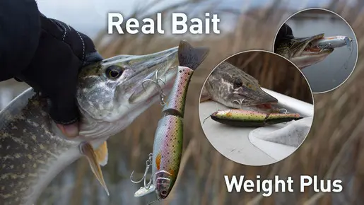 Разлавливаем Real Bait Weight Plus от Lucky Craft