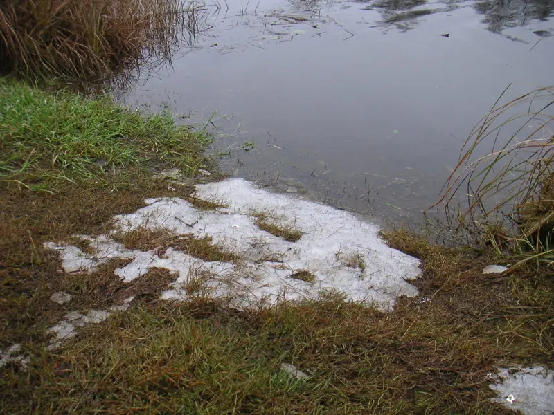 У воды лежит снеголед