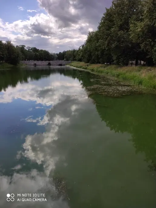 Что такое: сине-зелёное, а не водоросль? ;)