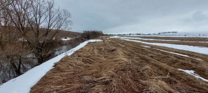 На воскресенье младший из столицы приезжал. Очень на рыбалку хотел. Выбора практически не было —...