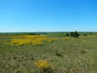 Сегодняшняя рыбалка... (фото #25307)