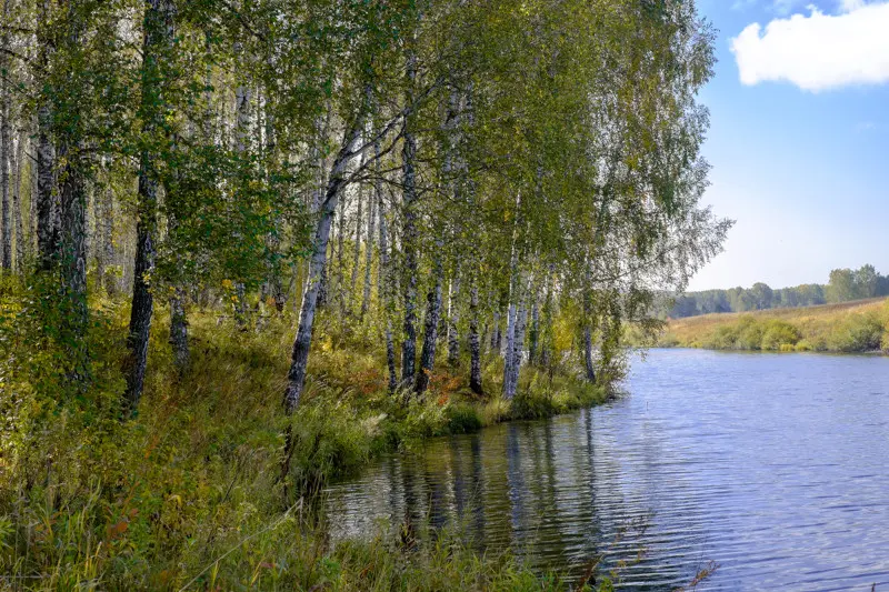 Осенние краски