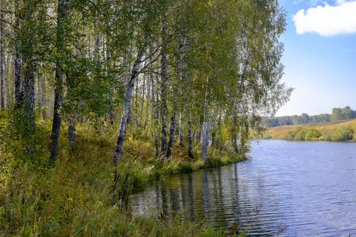 Осенние краски