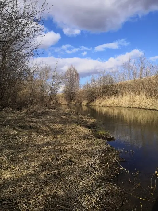 Щука в мутной воде