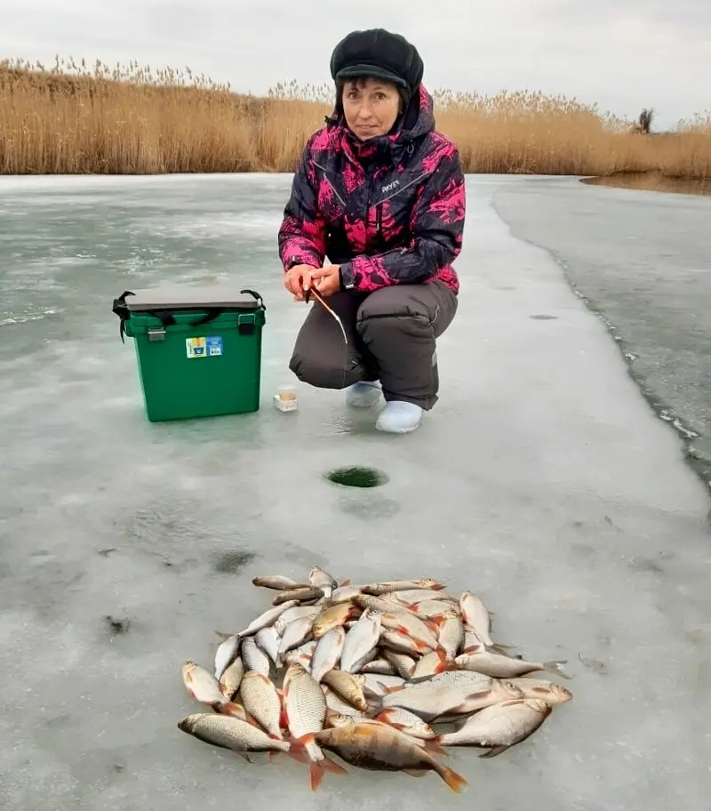 Жаль, что зима заканчивается, я ещё не насытилась зимней рыбалкой, несмотря на то, что иногда...