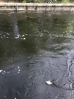 Мест где можно... (фото #23617)