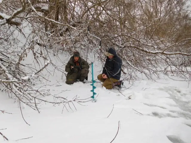 Окуневые заросли.