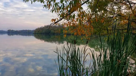 Вечернее рандеву. Я и окунь.)))