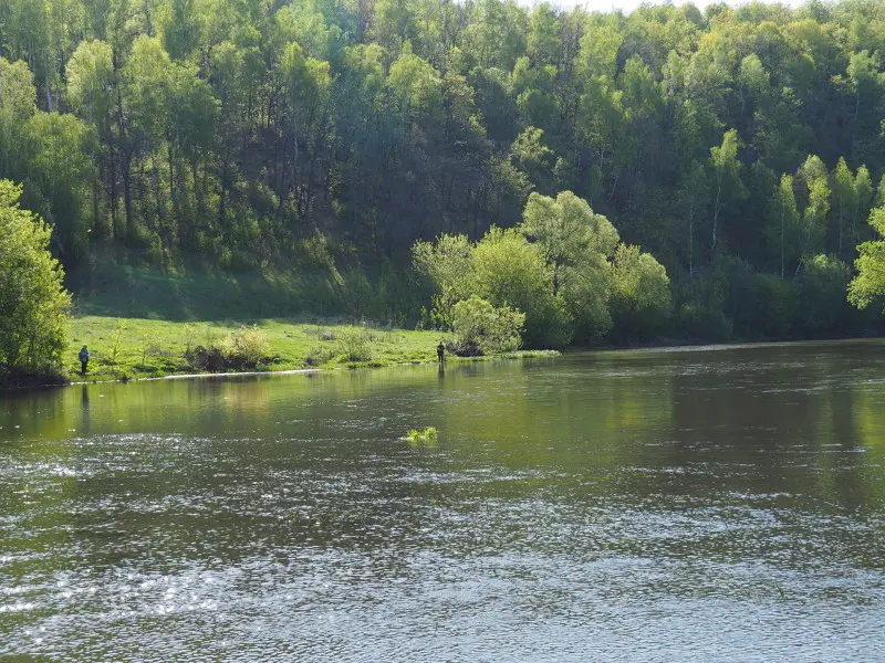 В процессе