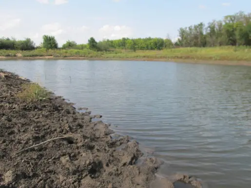 С УЛ на домашний водоем