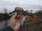 Сегодня вновь... (фото #3321)