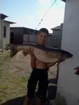 Drakula_Fisherman