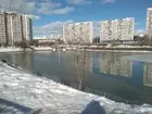 Городская дичь)