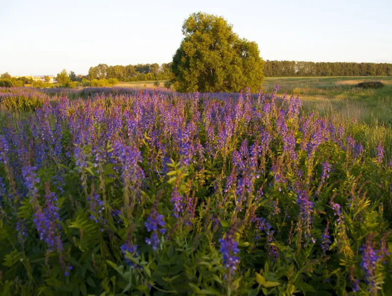 Фото о рыбалке №33790