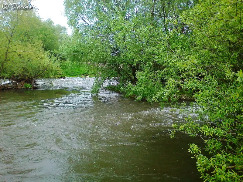 очень красивое место, но рыбы нет...