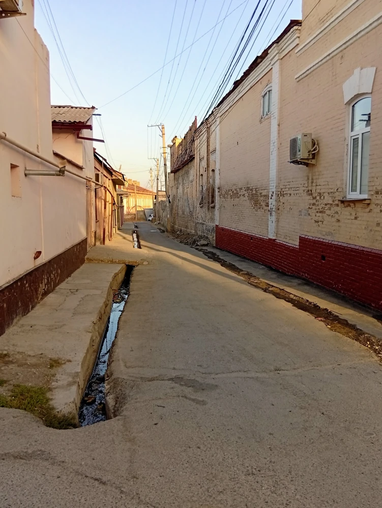 Арыки со сточными водами и без.