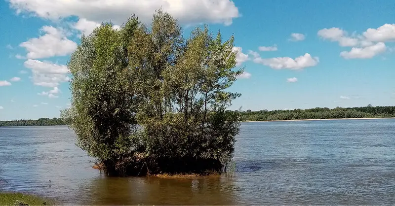 Тёплый будний день на реке