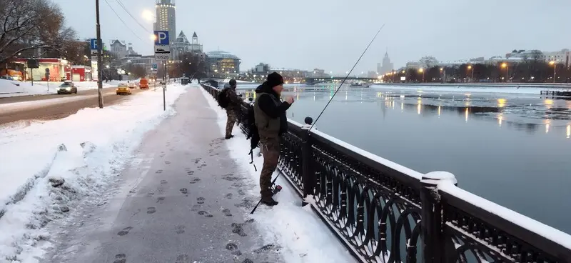 А сколько у нас окуней?