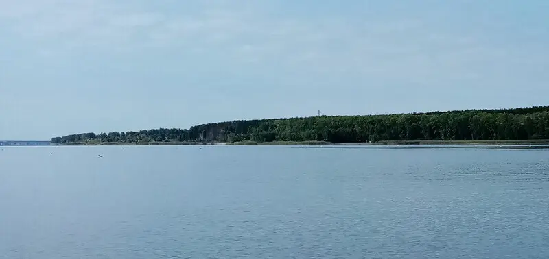 Вид из лодки на воду и чаек