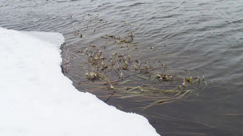 Вода. Твёрдая и жидкая