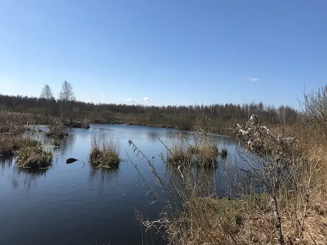 А главное, нет клятой ряски.