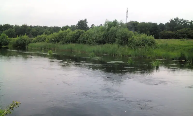 Очередное перспективное место. И тут, увы, без рыбы.