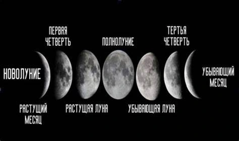 Проверим?