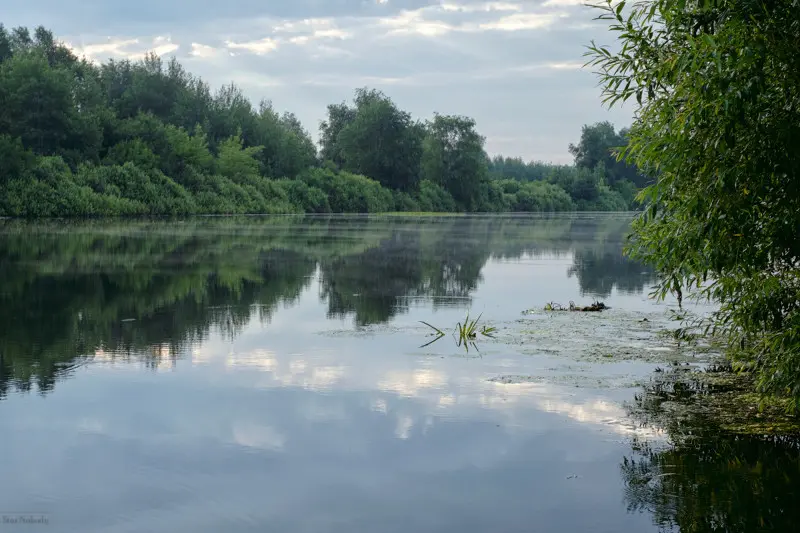 Для полного умиротворения не хватило только присутствия карася...