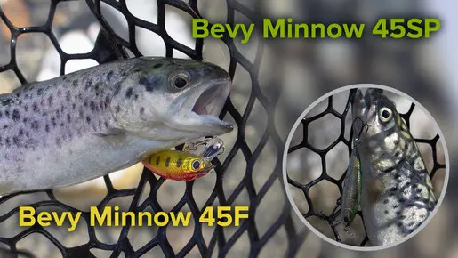 Ручьевая форель на Bevy Minnow 45SP и 45F