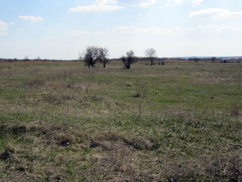 Пролетная рыбалка, за то на солнышке понежились