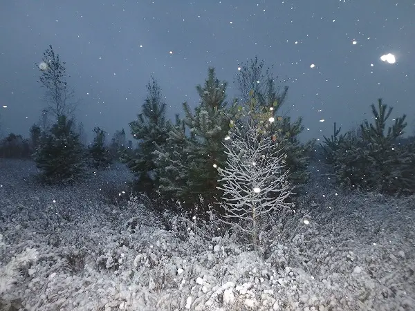 Природа прекрасна в любое время года.