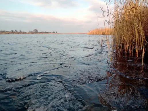 Красиво, но без рыбы