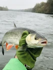 Вода за неделю остыла... (фото #26654)