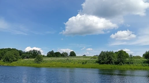 На Медведице. Год спустя.