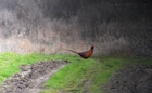 Да, камера с... (фото #6222)