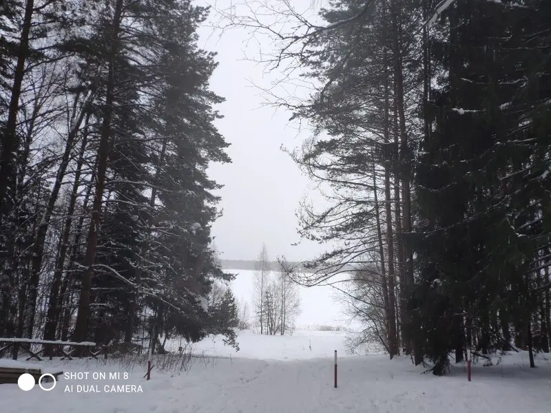 Истринское водохранилище. Спуск к берегу.