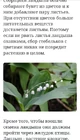 Странно, что за... (фото #25385)