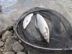 Рыбалка «у Степана»
