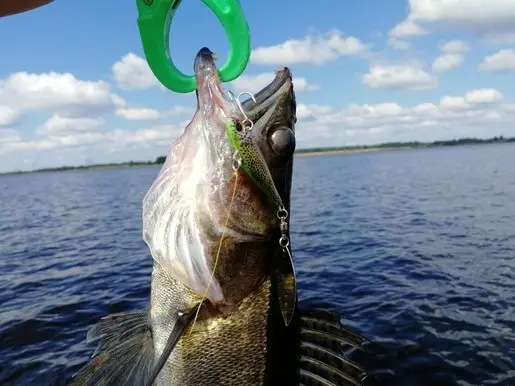 Kosadaka Fish Darts — правильный спиннер