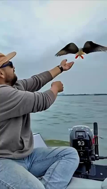 Нуитак... (видео #178)