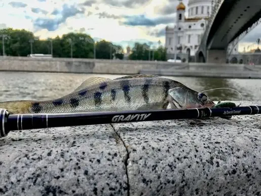 Открытие сезона: street fishing