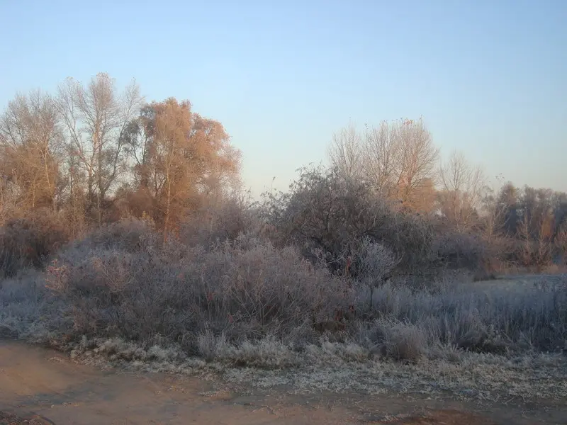 Солнышко взошло