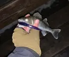 Холодно