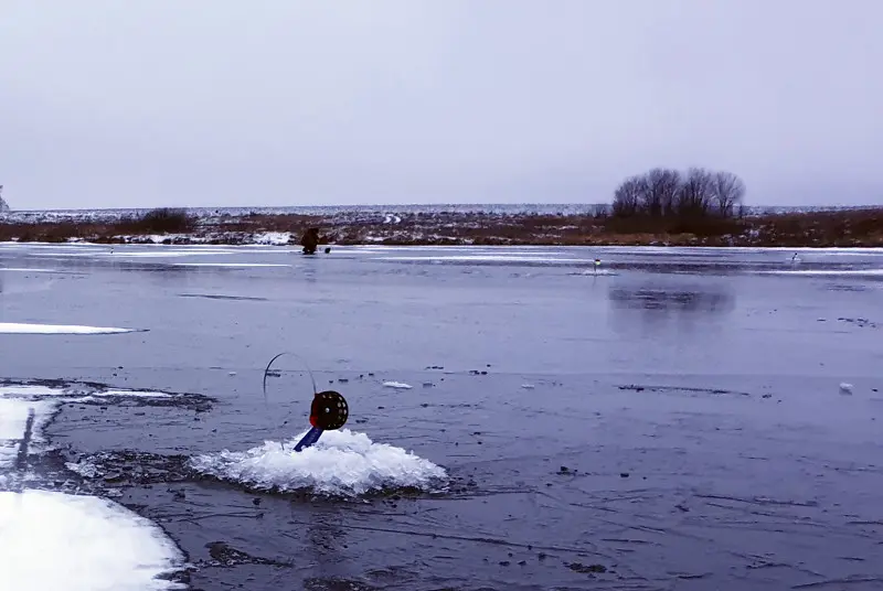 Расставляемся