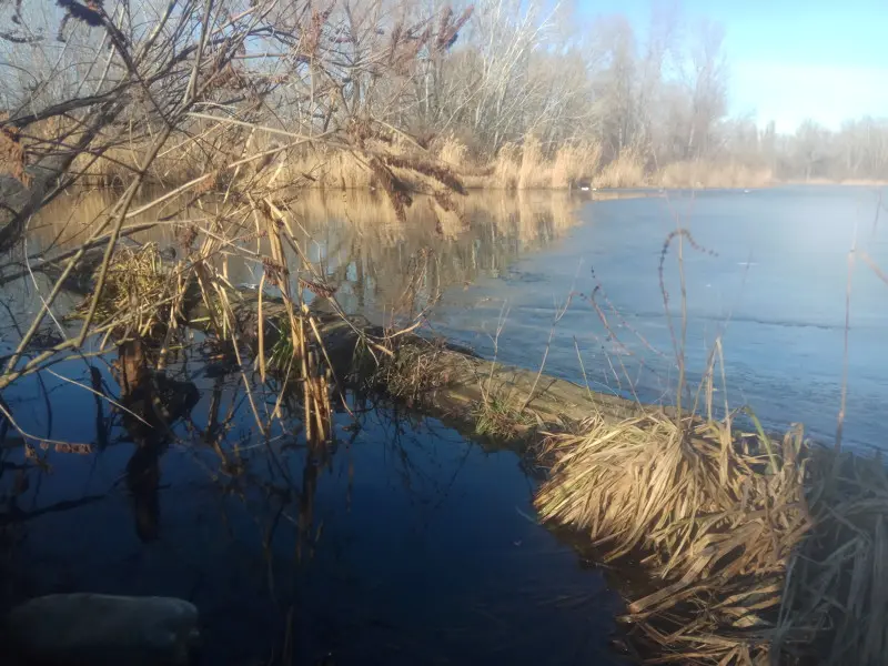 Вот здесь мне нужно было протащить первую рыбу сезона :D