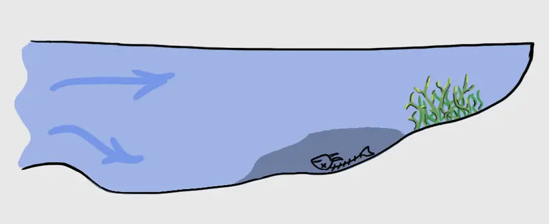 Характерная картина для озёр с постоянной подпиткой через широкое соединение. Голубые стрелки...