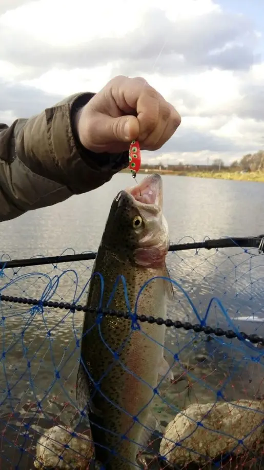 Трудовая рыбалка