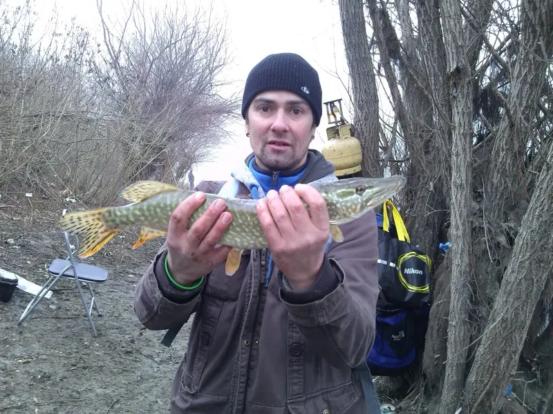 Фото о рыбалке №28338