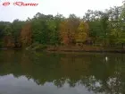 озеро в осеннем лесу