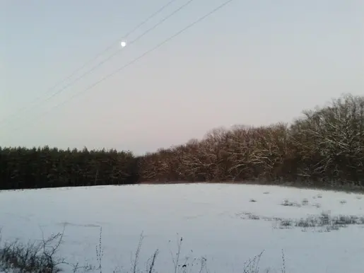 Луна светила в небесах, Луна светила...